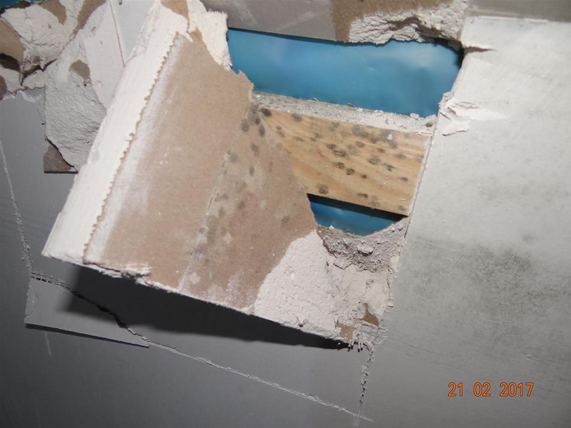 Verdeckter Schimmelbefall